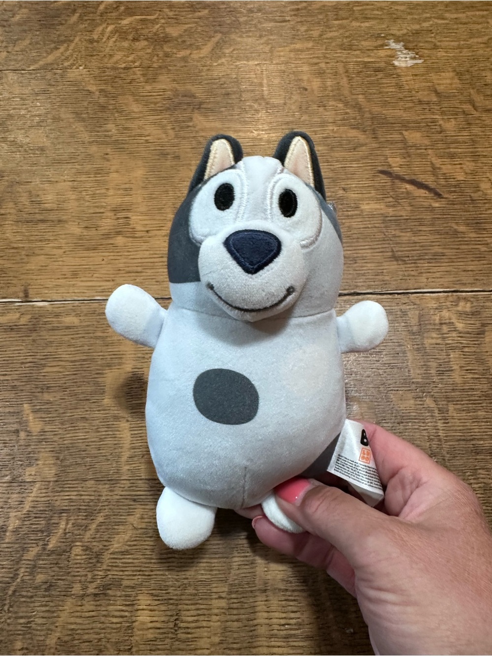 Squishmallows Muffin plush from the Bluey HugMees collection.